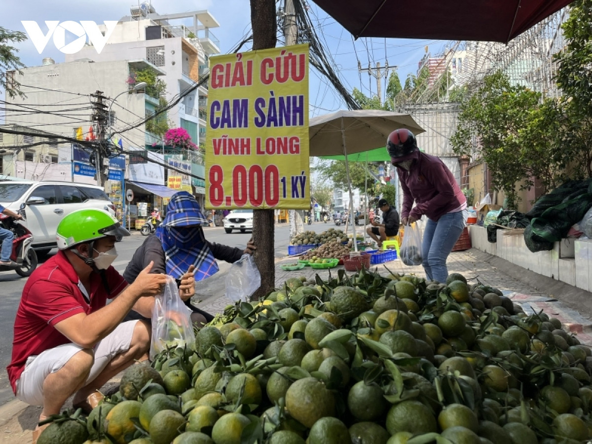 Đua nhau trồng rồi ‘vỡ trận’, nhiều loại quả hạ giá rẻ như cho